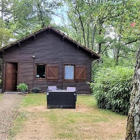 Weir Cottage Balledent ภายนอก รูปภาพ